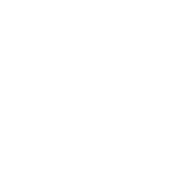 Logo LENZI CONSULTANT S.R.L.