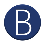 Logo Bluchip Solutions LLC
