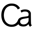 Logo CAAAP NV