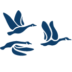 Logo THE CANADIAN COMMUNITY ECONOMIC DEVELOPMENT NETWORK