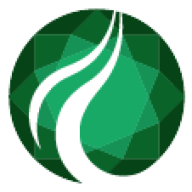 Logo Jadestone Energy Pte Ltd.