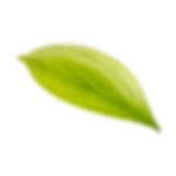 Logo Efor Çay Sanayi Ticaret AS