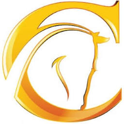 Logo Chariot Corp. Ltd.