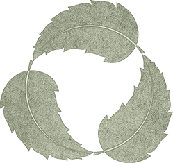 Logo The Berkana Institute