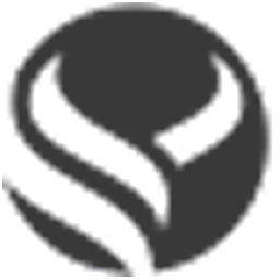 Logo Black Toro LLC