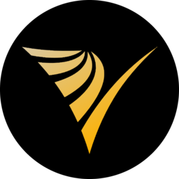 Logo The Visualize Group LP