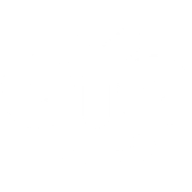 Logo Ayo Holdings Ltd.