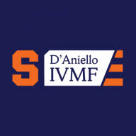 Logo Institute For Veterans & Military Families