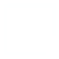 Logo New Life Bible Fellowship