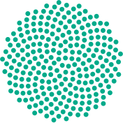 Logo Irish Software Association Ltd.